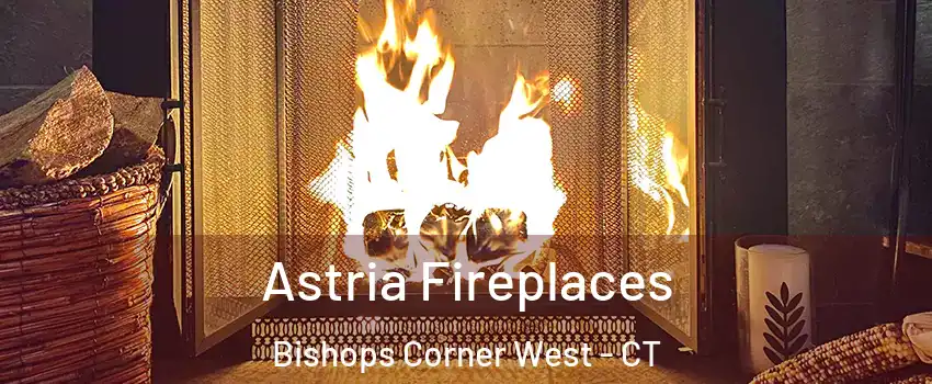 Astria Fireplaces Bishops Corner West - CT