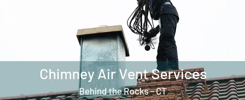 Chimney Air Vent Services Behind the Rocks - CT