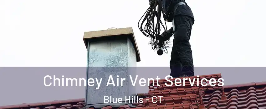 Chimney Air Vent Services Blue Hills - CT