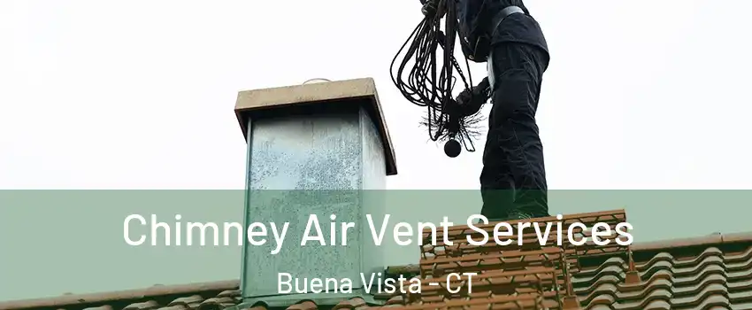 Chimney Air Vent Services Buena Vista - CT