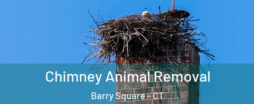 Chimney Animal Removal Barry Square - CT