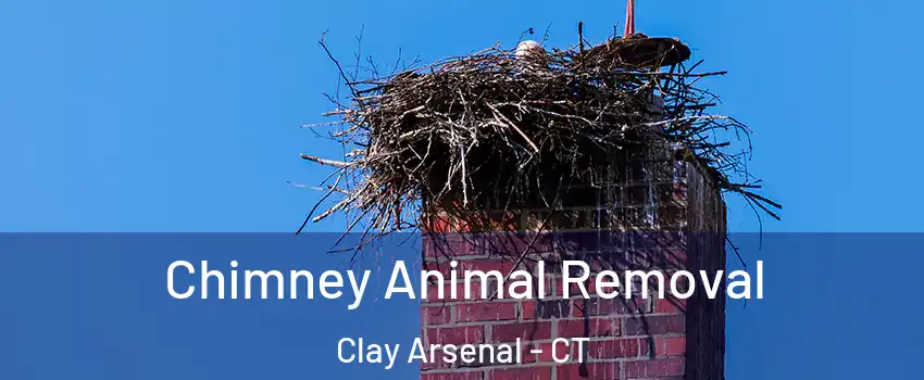 Chimney Animal Removal Clay Arsenal - CT
