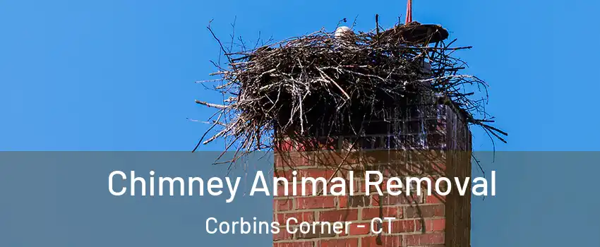 Chimney Animal Removal Corbins Corner - CT