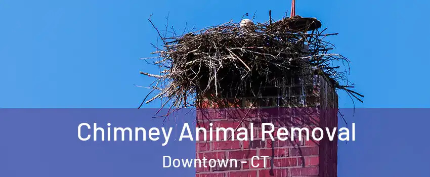Chimney Animal Removal Downtown - CT