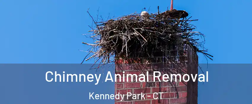 Chimney Animal Removal Kennedy Park - CT