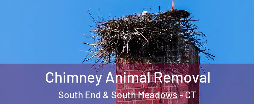 Chimney Animal Removal South End & South Meadows - CT
