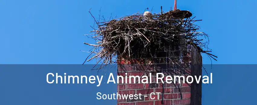 Chimney Animal Removal Southwest - CT