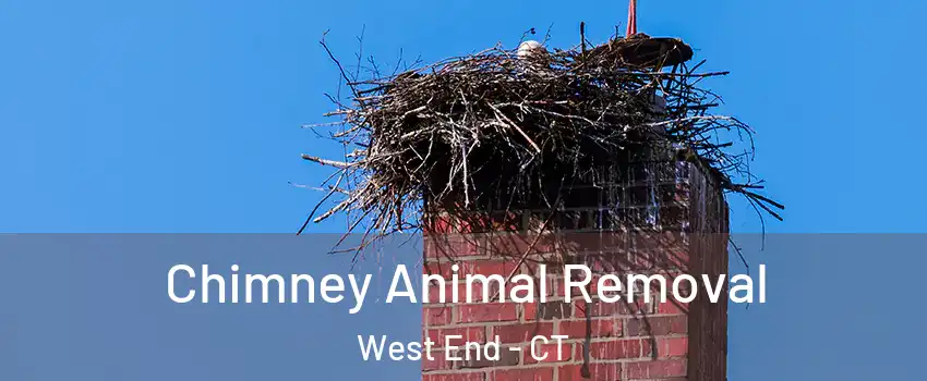 Chimney Animal Removal West End - CT