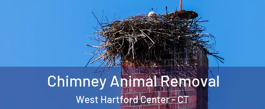 Chimney Animal Removal West Hartford Center - CT