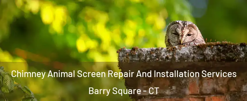 Chimney Animal Screen Repair And Installation Services Barry Square - CT