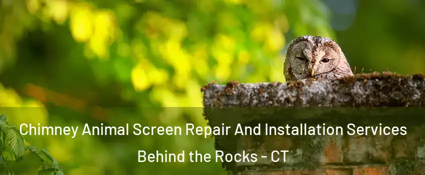 Chimney Animal Screen Repair And Installation Services Behind the Rocks - CT