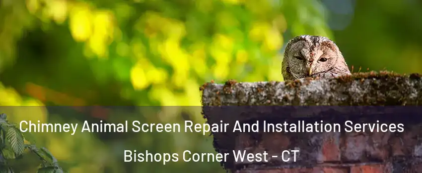 Chimney Animal Screen Repair And Installation Services Bishops Corner West - CT