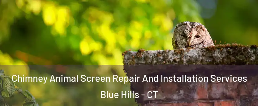 Chimney Animal Screen Repair And Installation Services Blue Hills - CT