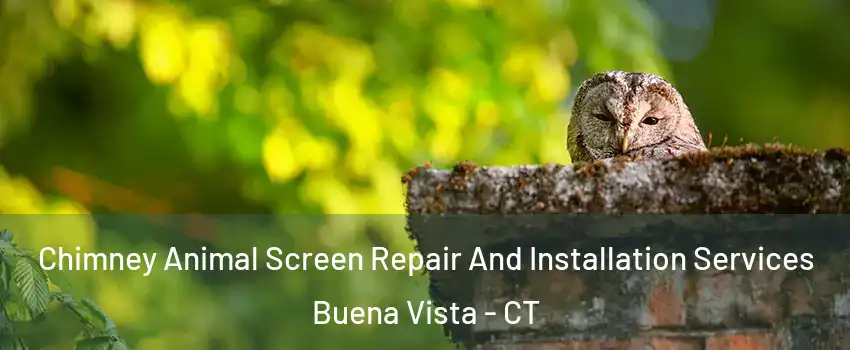 Chimney Animal Screen Repair And Installation Services Buena Vista - CT