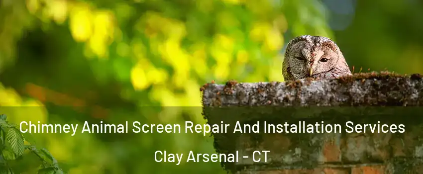 Chimney Animal Screen Repair And Installation Services Clay Arsenal - CT