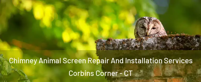Chimney Animal Screen Repair And Installation Services Corbins Corner - CT