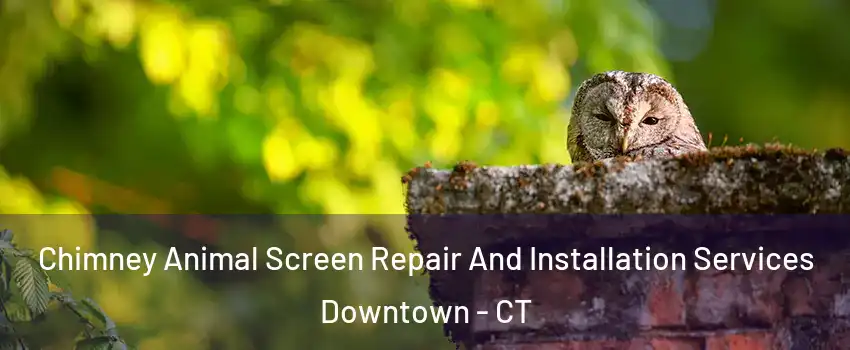 Chimney Animal Screen Repair And Installation Services Downtown - CT