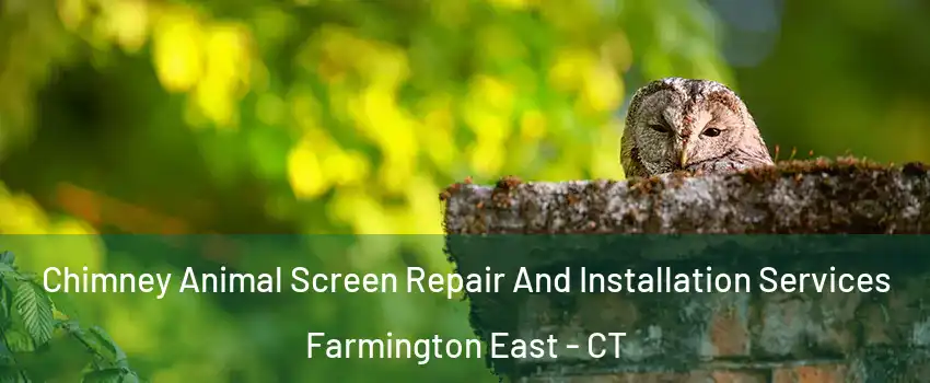 Chimney Animal Screen Repair And Installation Services Farmington East - CT