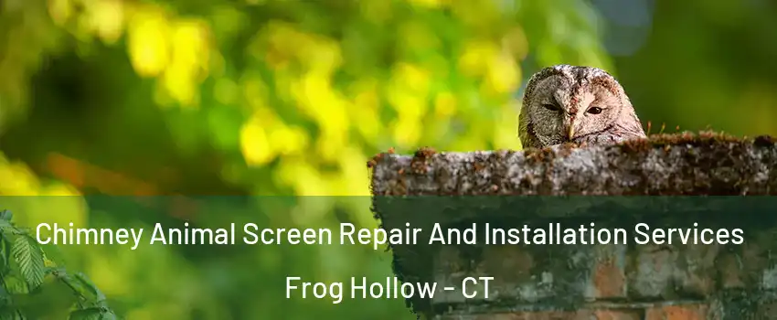 Chimney Animal Screen Repair And Installation Services Frog Hollow - CT