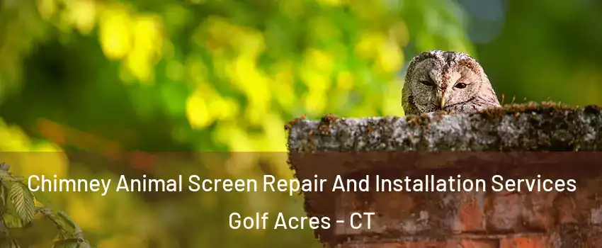 Chimney Animal Screen Repair And Installation Services Golf Acres - CT