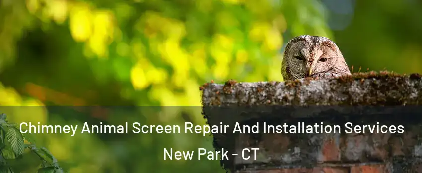 Chimney Animal Screen Repair And Installation Services New Park - CT