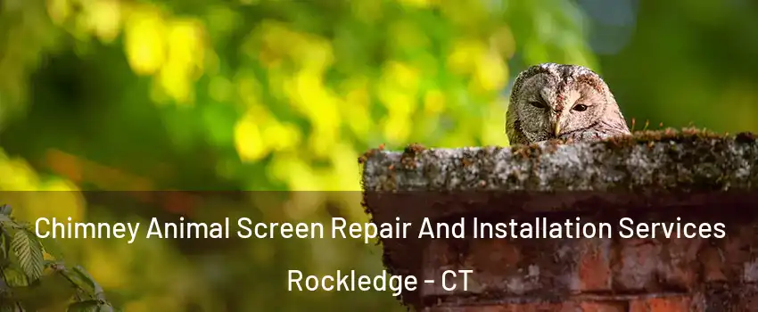 Chimney Animal Screen Repair And Installation Services Rockledge - CT