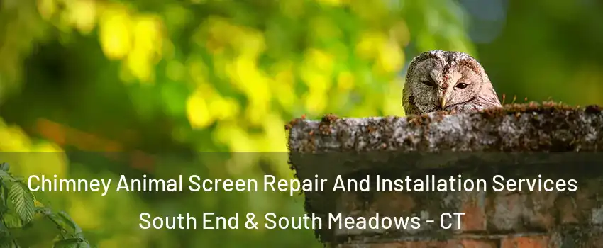 Chimney Animal Screen Repair And Installation Services South End & South Meadows - CT