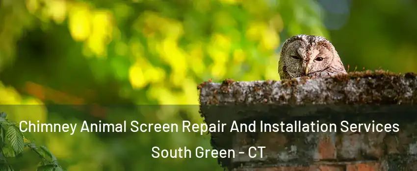 Chimney Animal Screen Repair And Installation Services South Green - CT