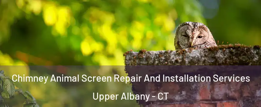 Chimney Animal Screen Repair And Installation Services Upper Albany - CT