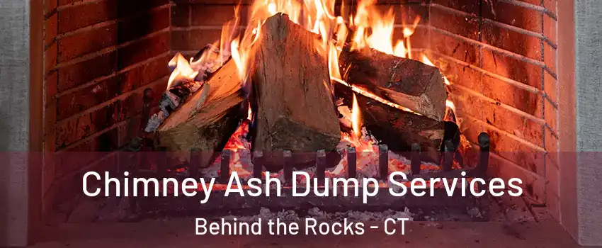 Chimney Ash Dump Services Behind the Rocks - CT