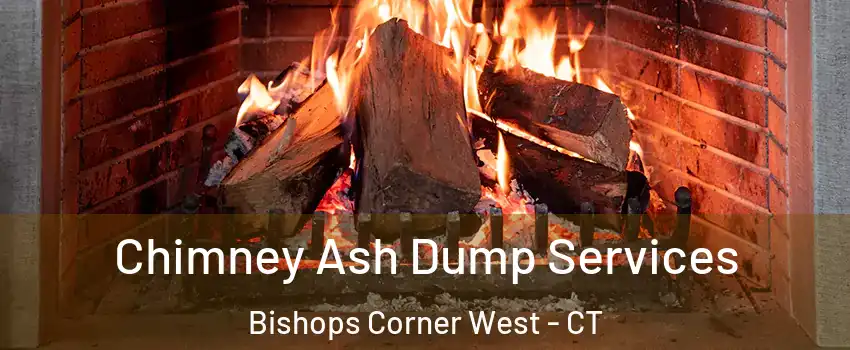 Chimney Ash Dump Services Bishops Corner West - CT