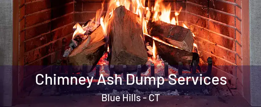 Chimney Ash Dump Services Blue Hills - CT