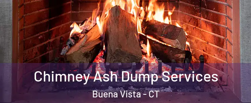 Chimney Ash Dump Services Buena Vista - CT