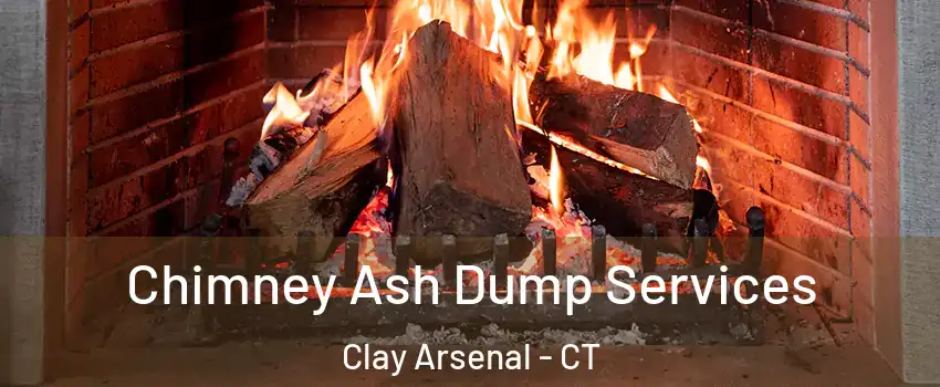Chimney Ash Dump Services Clay Arsenal - CT