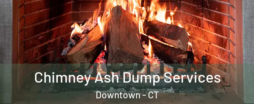 Chimney Ash Dump Services Downtown - CT