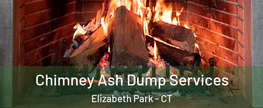 Chimney Ash Dump Services Elizabeth Park - CT