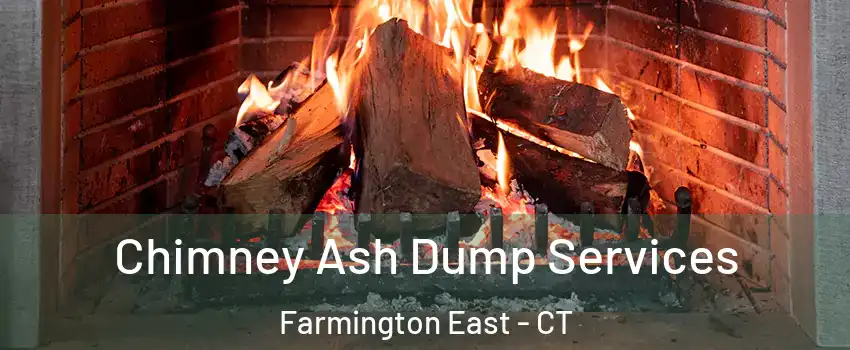 Chimney Ash Dump Services Farmington East - CT