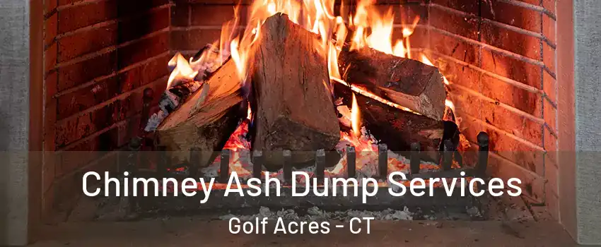 Chimney Ash Dump Services Golf Acres - CT