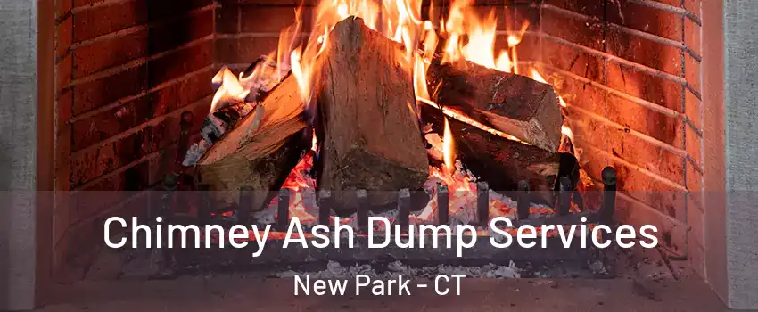 Chimney Ash Dump Services New Park - CT