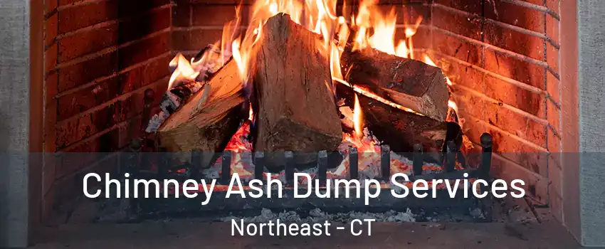 Chimney Ash Dump Services Northeast - CT