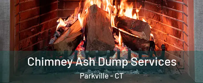 Chimney Ash Dump Services Parkville - CT