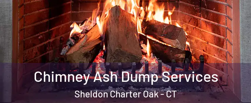 Chimney Ash Dump Services Sheldon Charter Oak - CT