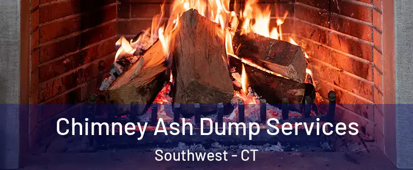 Chimney Ash Dump Services Southwest - CT