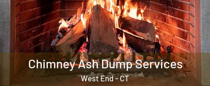 Chimney Ash Dump Services West End - CT