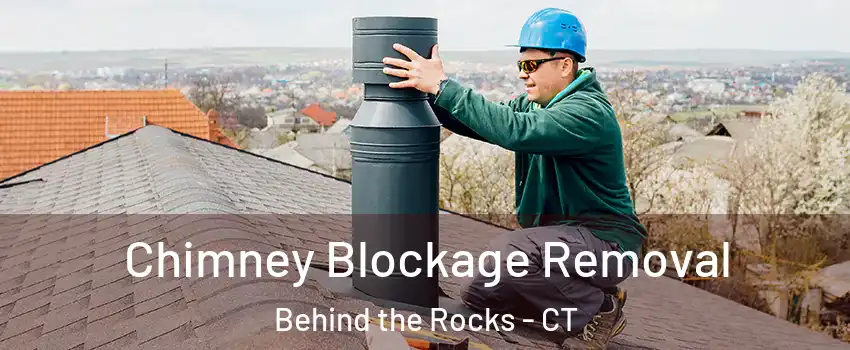 Chimney Blockage Removal Behind the Rocks - CT