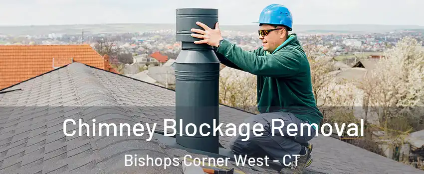 Chimney Blockage Removal Bishops Corner West - CT