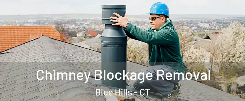 Chimney Blockage Removal Blue Hills - CT
