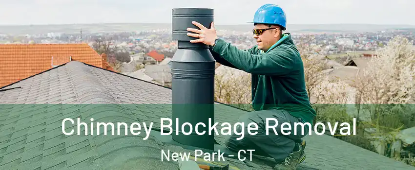 Chimney Blockage Removal New Park - CT