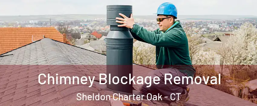 Chimney Blockage Removal Sheldon Charter Oak - CT