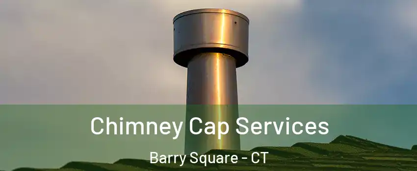 Chimney Cap Services Barry Square - CT